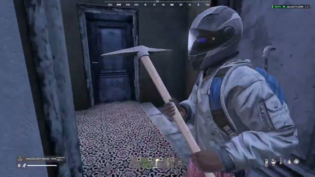 Долго ли проживут новички в дейз?