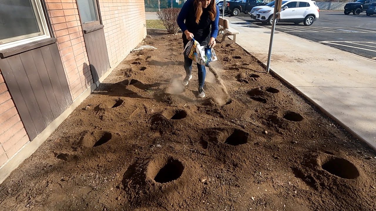 Planting a Ton of Roses at Our Community College & at Home! 🌹🌹🌹 // Garden Answer