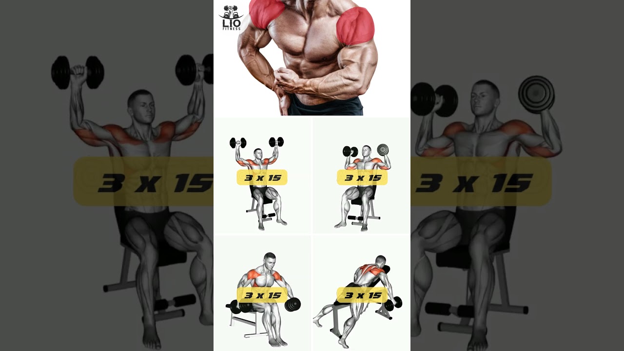 LOS MEJORES #EJERCICIOS PARA #HOMBROS CON #MANCUERNAS | #shoulderworkout #gym #gymworkout