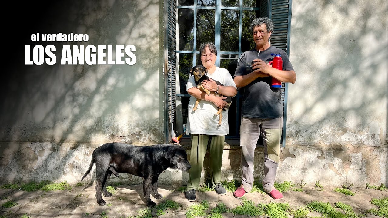 Así es la vida en Los Angeles, acá el lujo es la tranquilidad de vivir seguros