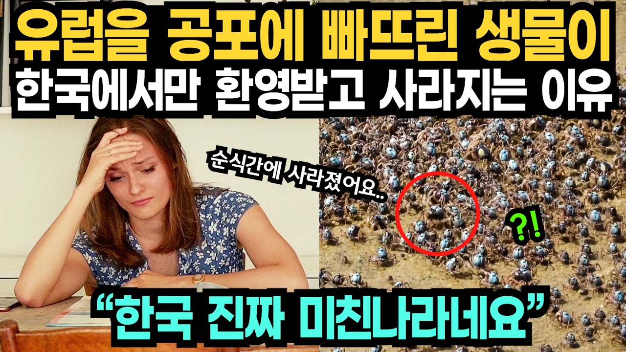 유럽을 공포에 빠뜨린 생물이 한국에서만 환영받고 사라지는 이유 // 
