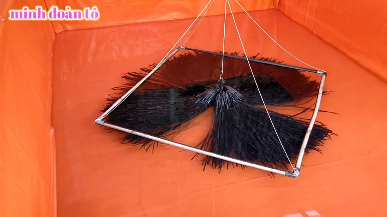 Mô Hình Nuôi Lươn Không Bùn Bể Bạt| Chuẩn Bị Bể Mới Và Thả Lươn Giống ✓ Minh Đoàn Tô