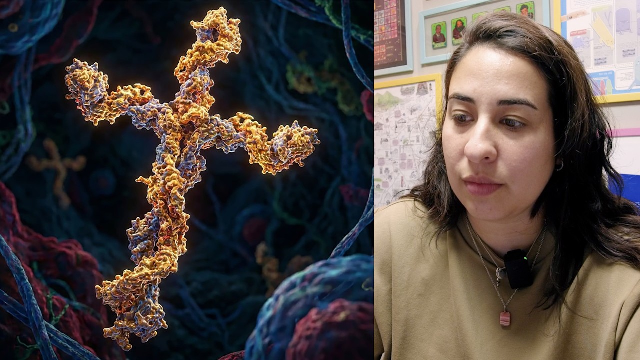 PROTEÍNA EM FORMATO DE CRUZ FAZ PESSOAS VOLTAREM A ANDAR • Física e Afins