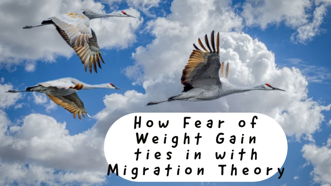 How Fear of Weight Gain ties in with Migration Theory