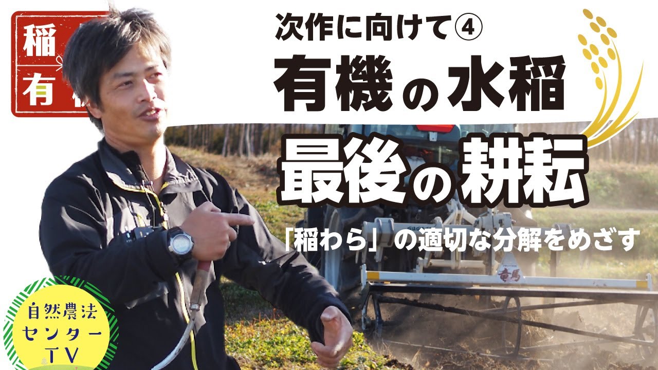 来年の稲作に向けて④シーズン最後の耕耘、目指せ適切な土壌水分!!　稲わら分解で稲良く育つ&雑草抑えて　品質収量アップを目指す『有機の米づくり』　【稲作有機 by 自然農法センター】