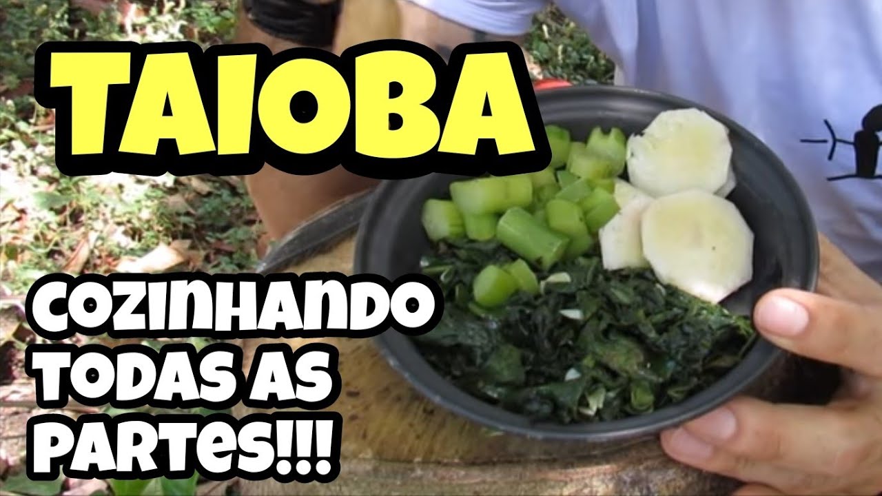 COMO PREPARAR TAIOBA | PANCS | COMO OXIDAR UMA FACA MORA