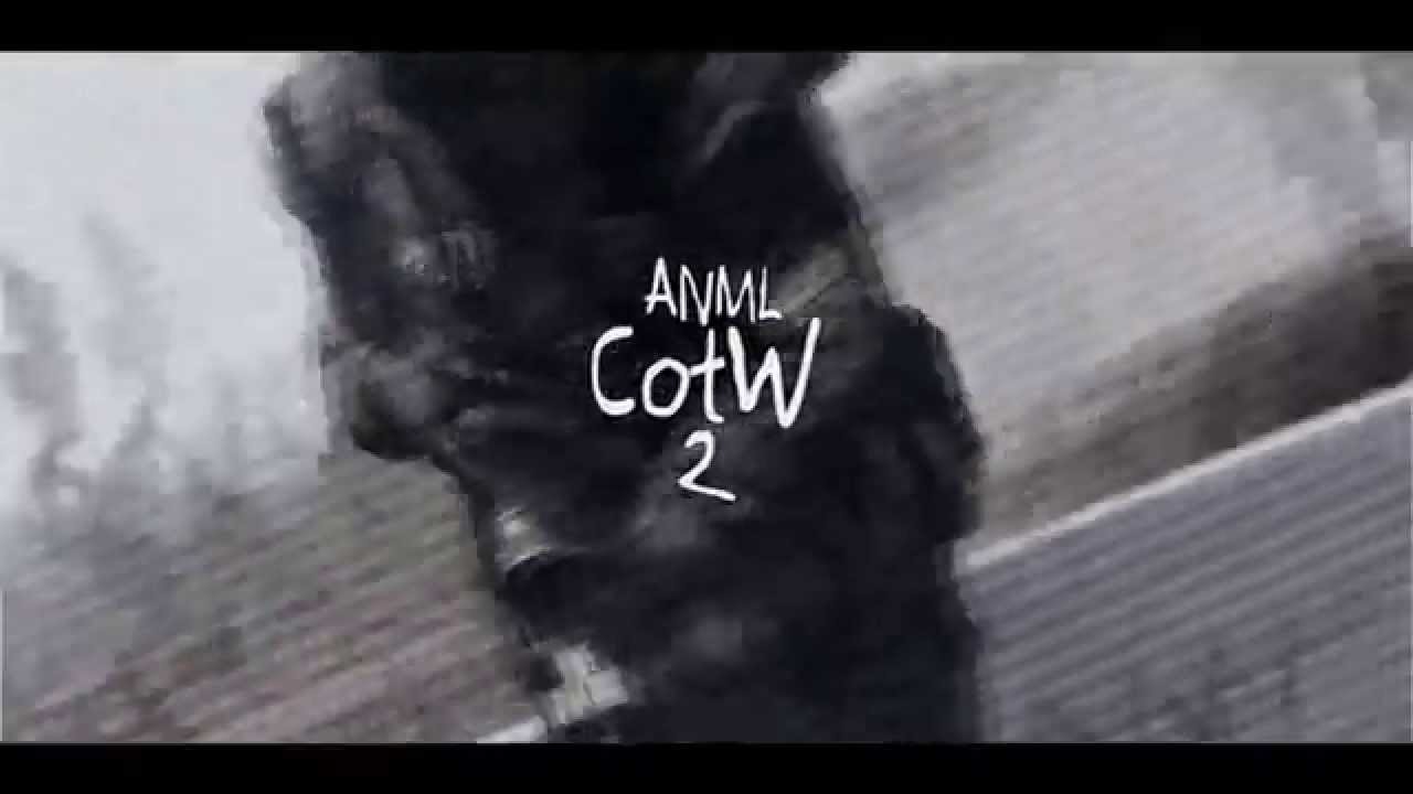Anml's COTW #2 by Jaaxi