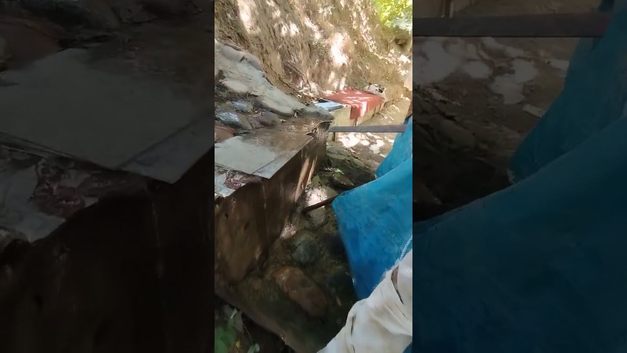 16 сути Ховли сотилади 