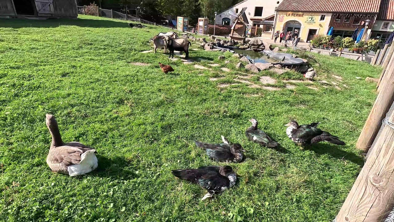 1 jour au center park de Hattigny dans le grand est