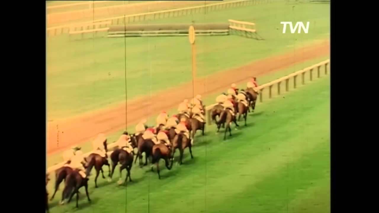 1966 Melbourne Cup- Galilee