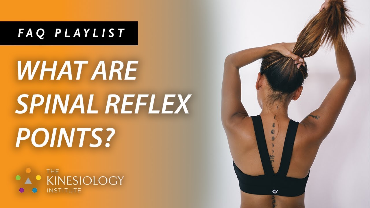 Kinesiology: Spinal Reflex Points | FAQs