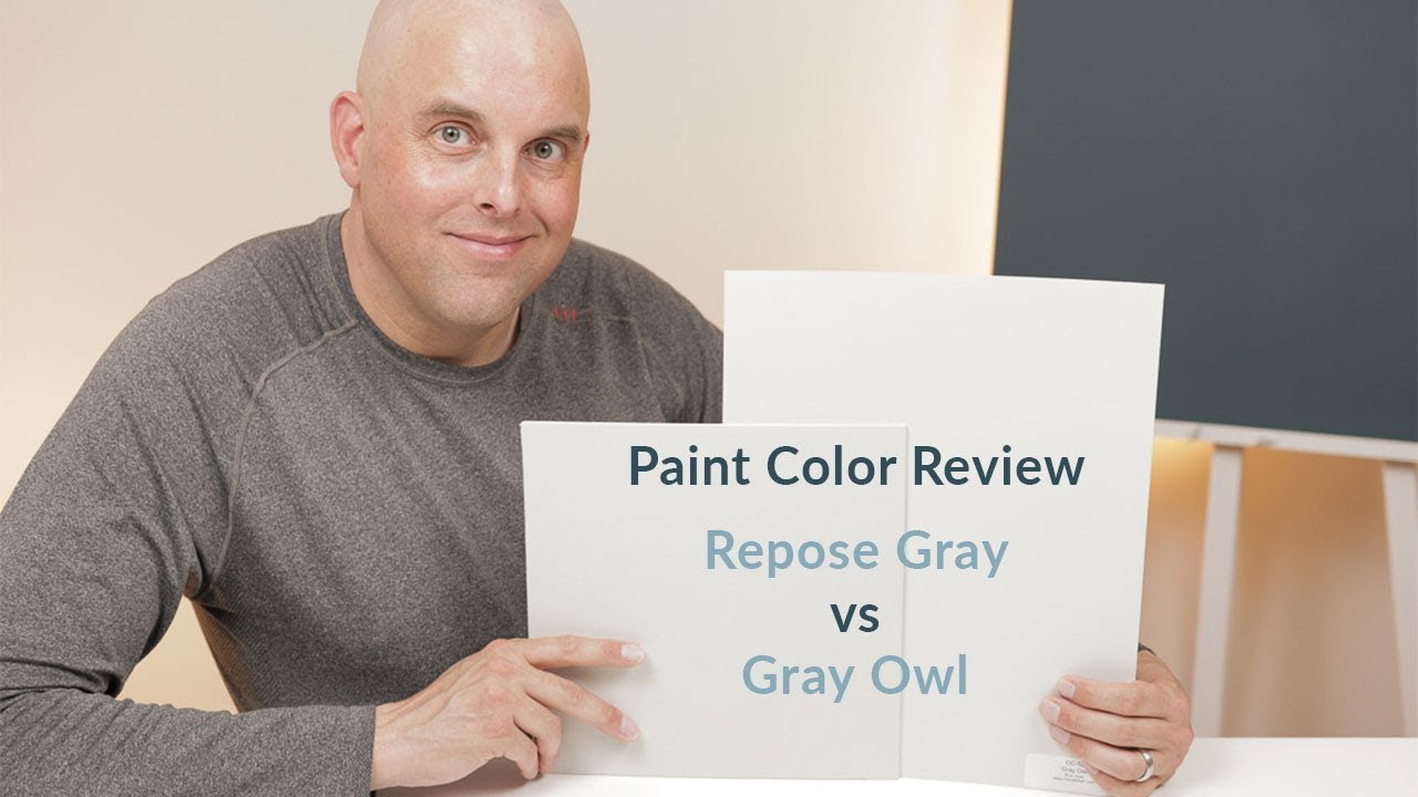 Sherwin Williams Repose Gray vs Benjamin Moore Gray Owl Color Review