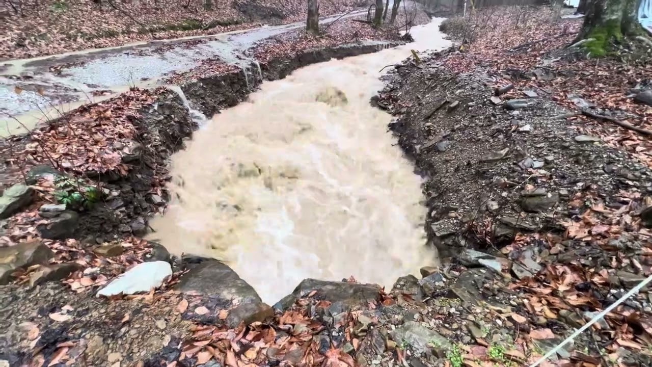Before and during the rain, a little bit of flooding. ￼a quiet stream to a raging river.