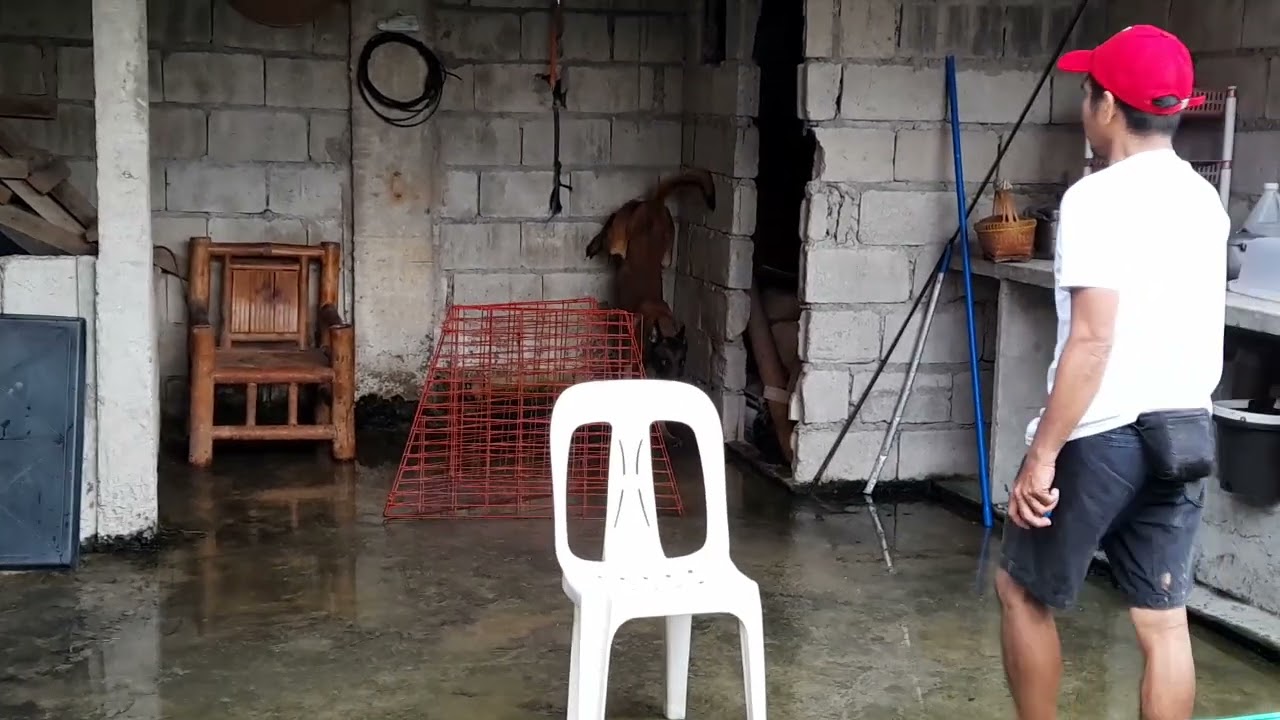 mga pagsasanay ni Bourgie