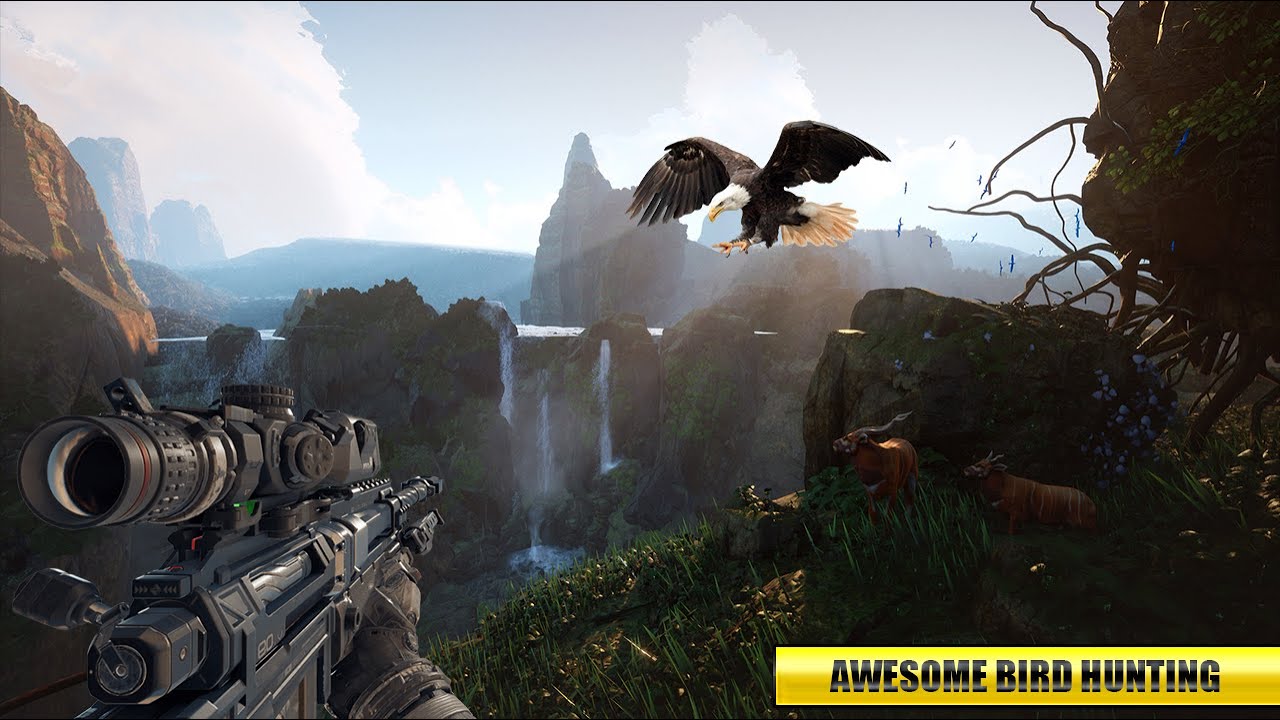 Birds Hunting | Gameplay