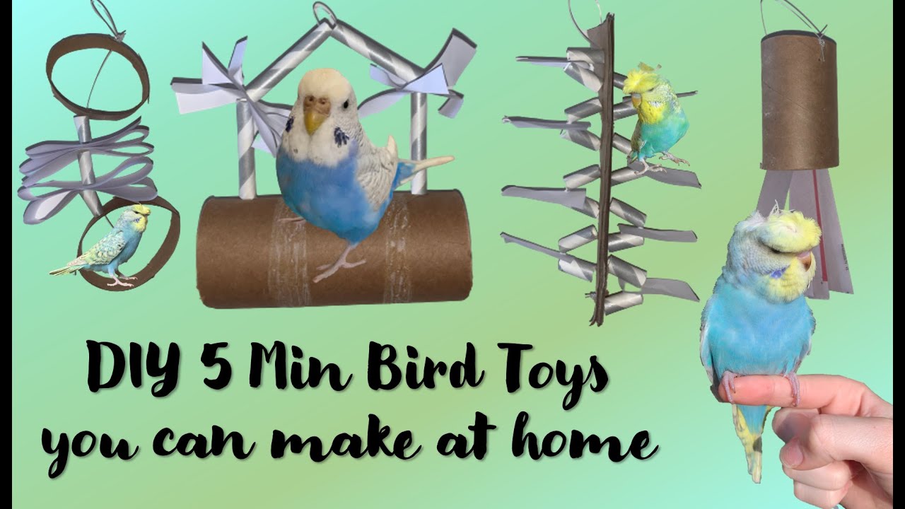 How to Make Bird Toys