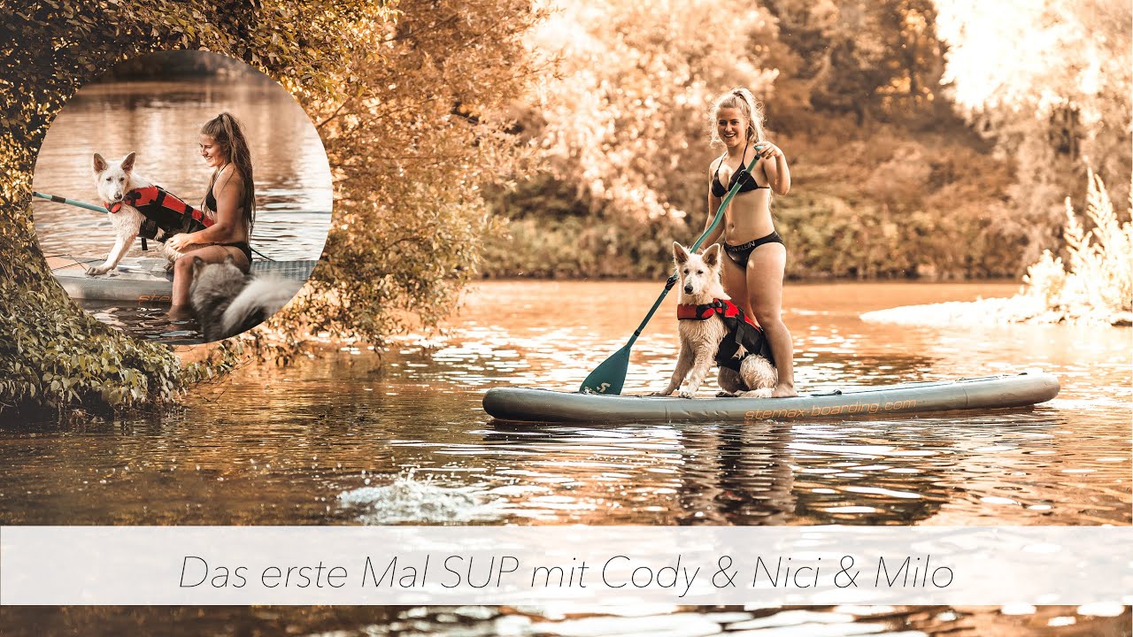 Wir haben endlich ein SUP mit Hund 🐶😍