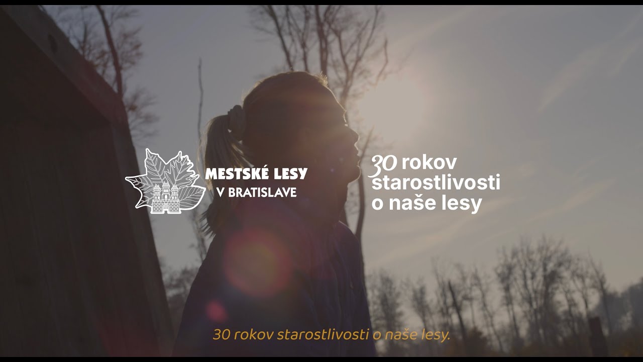 30 rokov starostlivosti o naše lesy