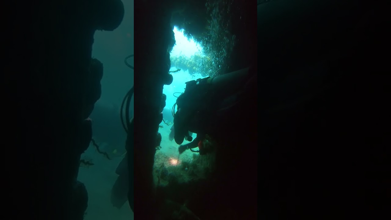 #coronbay #philippines #wreckdiving #scubadiving #diving
