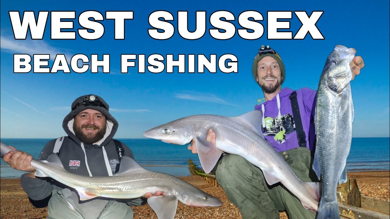 EPIC....BEACH FISHING IN WEST SUSSEX ,  smooth Hounds and bass #seafishing  @GAVMAN SHORE RIGS