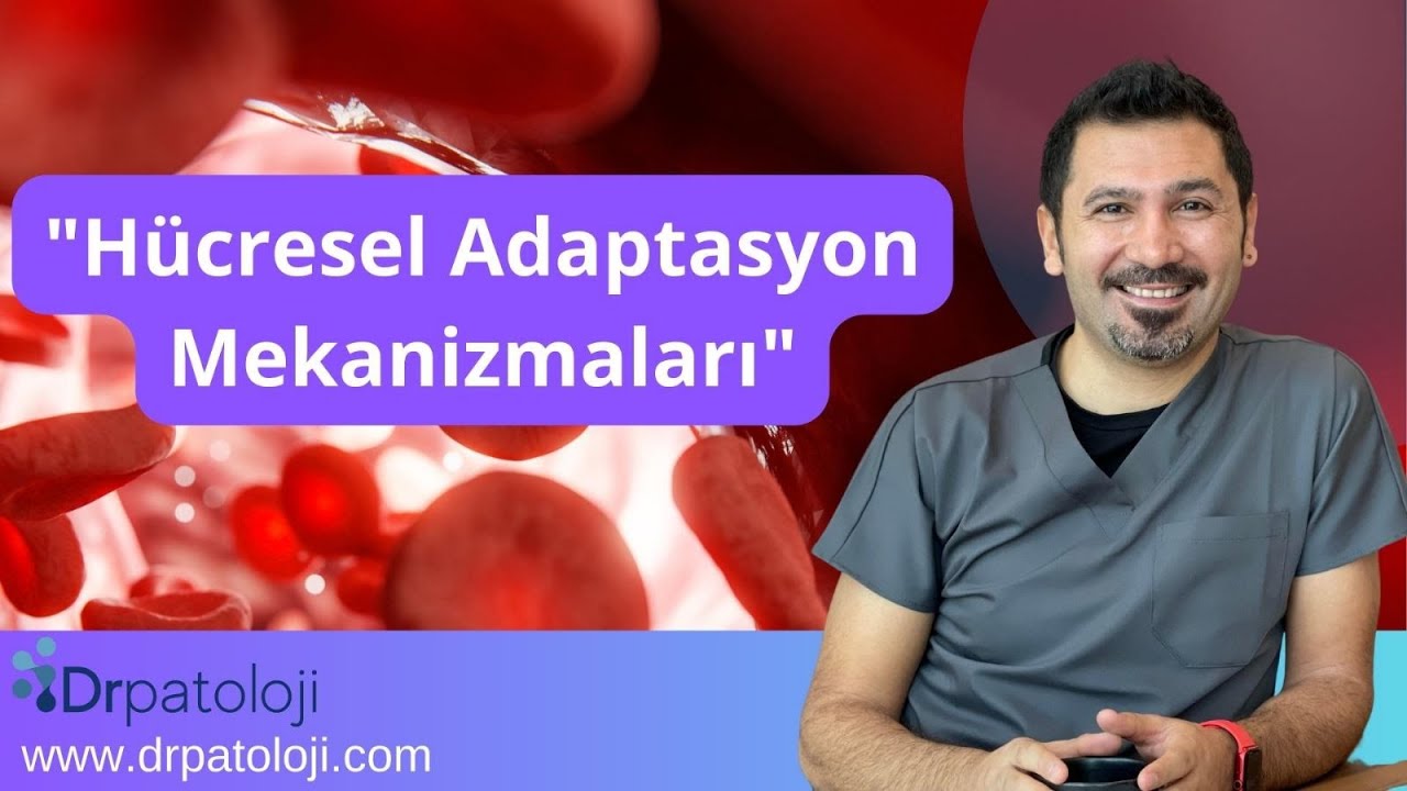 Hücre Adaptasyon Mekanizmaları