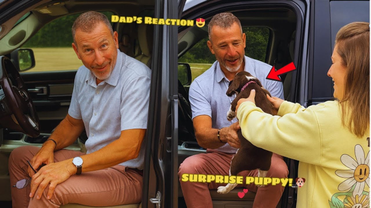🐾 The Moment Dad Realized the Puppy Was His (Part 3)  💕 | New Puppy Surprise Compilation 2025