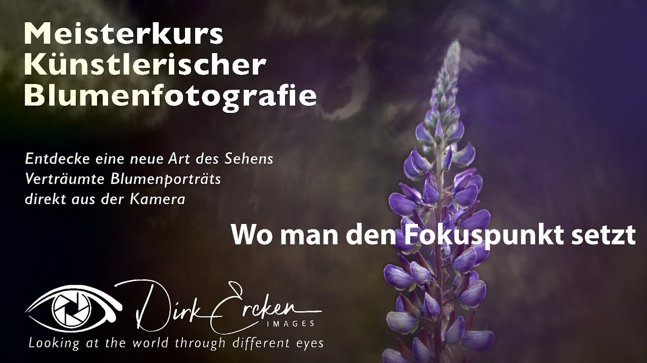 Wo man den Fokuspunkt setzt - Blumenfotografie