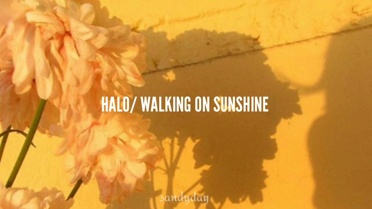 halo/ walking on sunshine; glee cast// sub. español