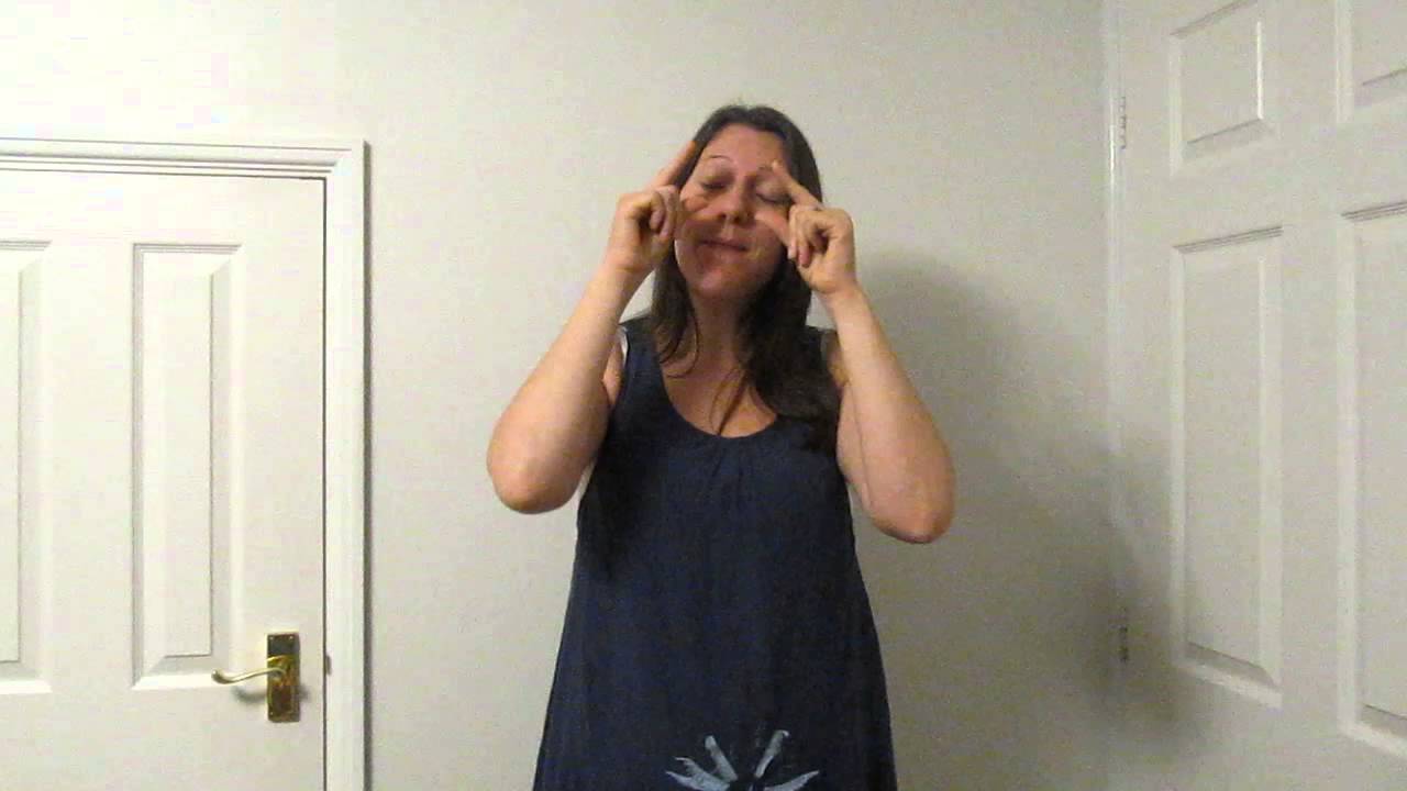 We're Going to the Zoo - British Sign Language (BSL) and singing