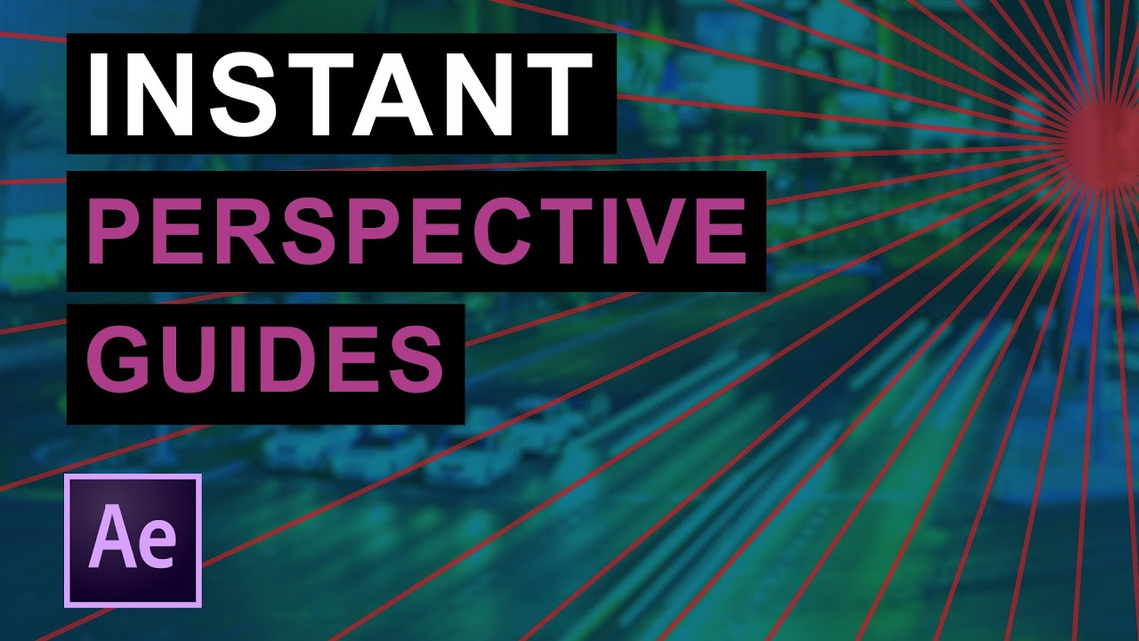 PD Perspective Guide