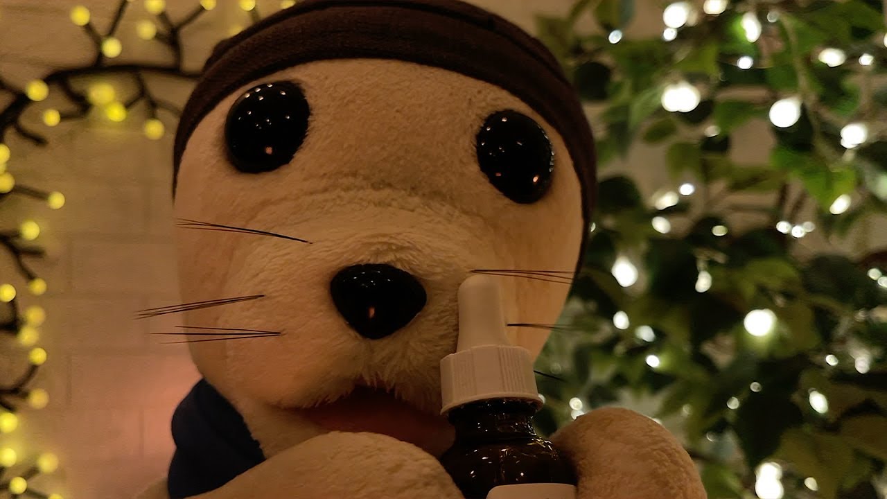 Fluffy Seal 🦭 Pampers You with Gentle ASMR Personal Attention While You Sleep