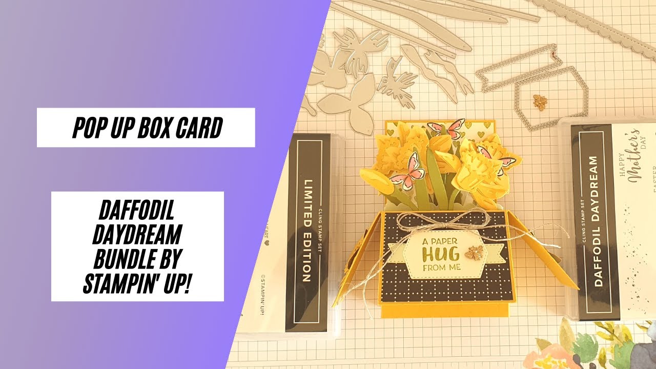 Daffodil Daydream Bundle Pop Up Box Card