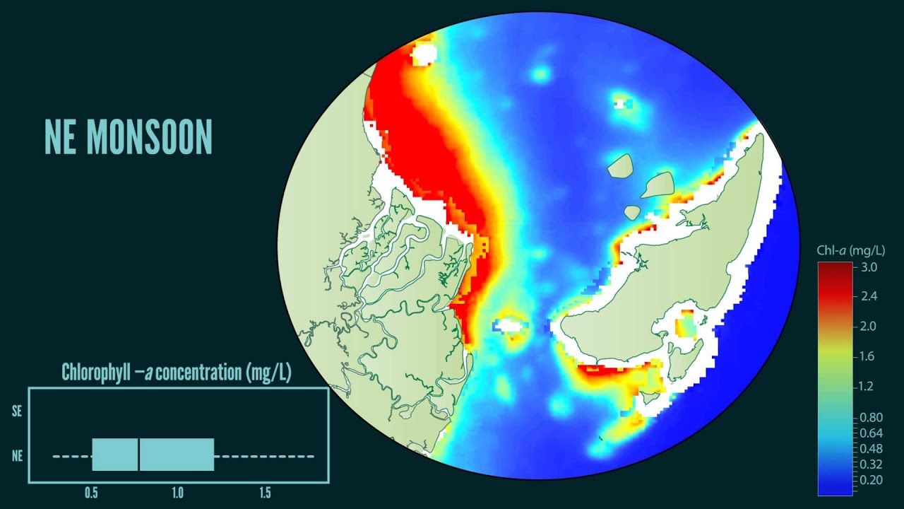 Chlorophyll at Mafia Channel: validation of insitu and satellite data