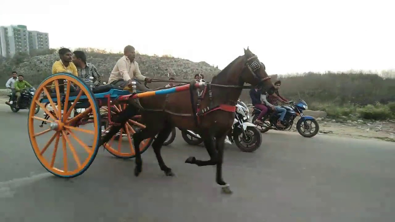 Lucknow Tanga horse race rehmat ali Borivali