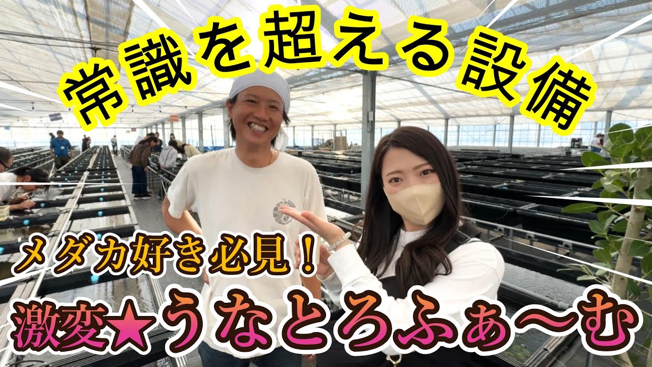 珍種めだかズラリ！激変うなとろふぁ〜むに潜入！