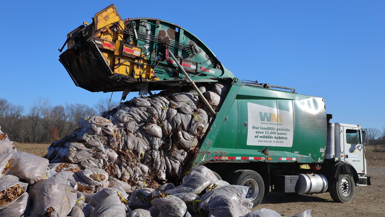 Garbage Trucks Dumping Leaf Bags
