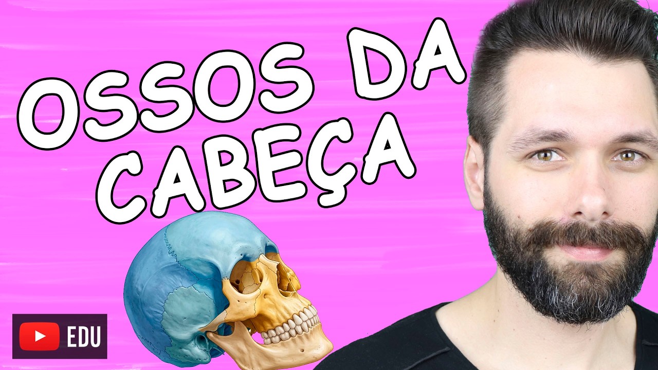 OSSOS DA CABE&Ccedil;A - Cr&acirc;nio e Face - Sistema Esquel&eacute;tico | Biologia com Samuel Cunha