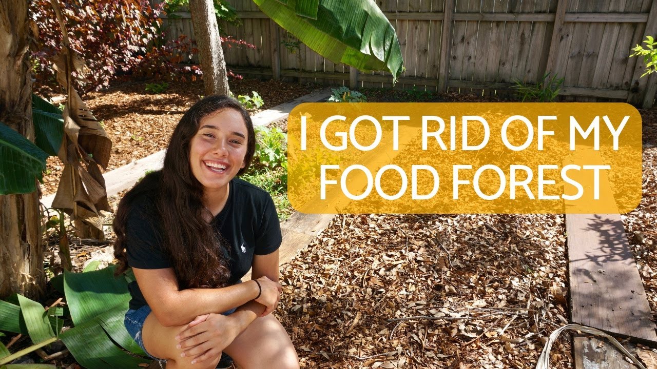 I Got Rid of my South Florida Food Forest || Here is Why