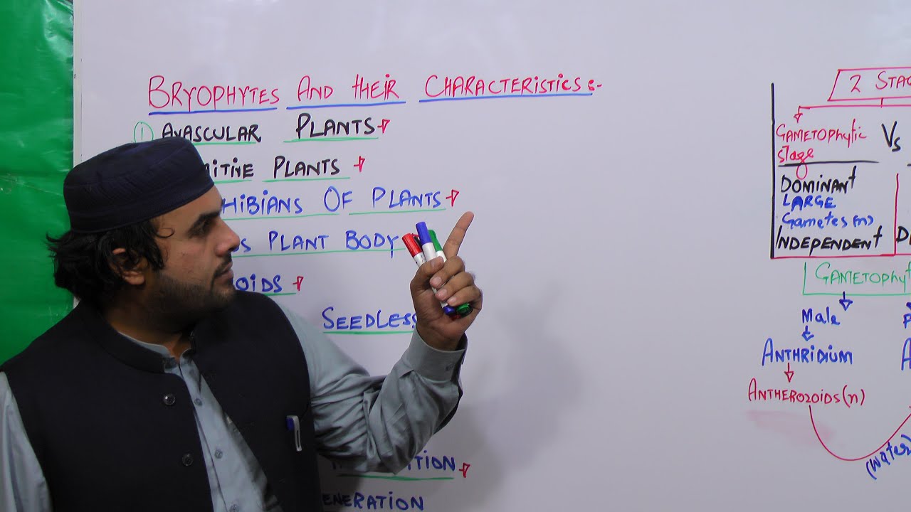 Lec # 3 |Characteristics of Bryophytes | NMDCAT MCQ,s | By Lecturer Sajjad Khan |