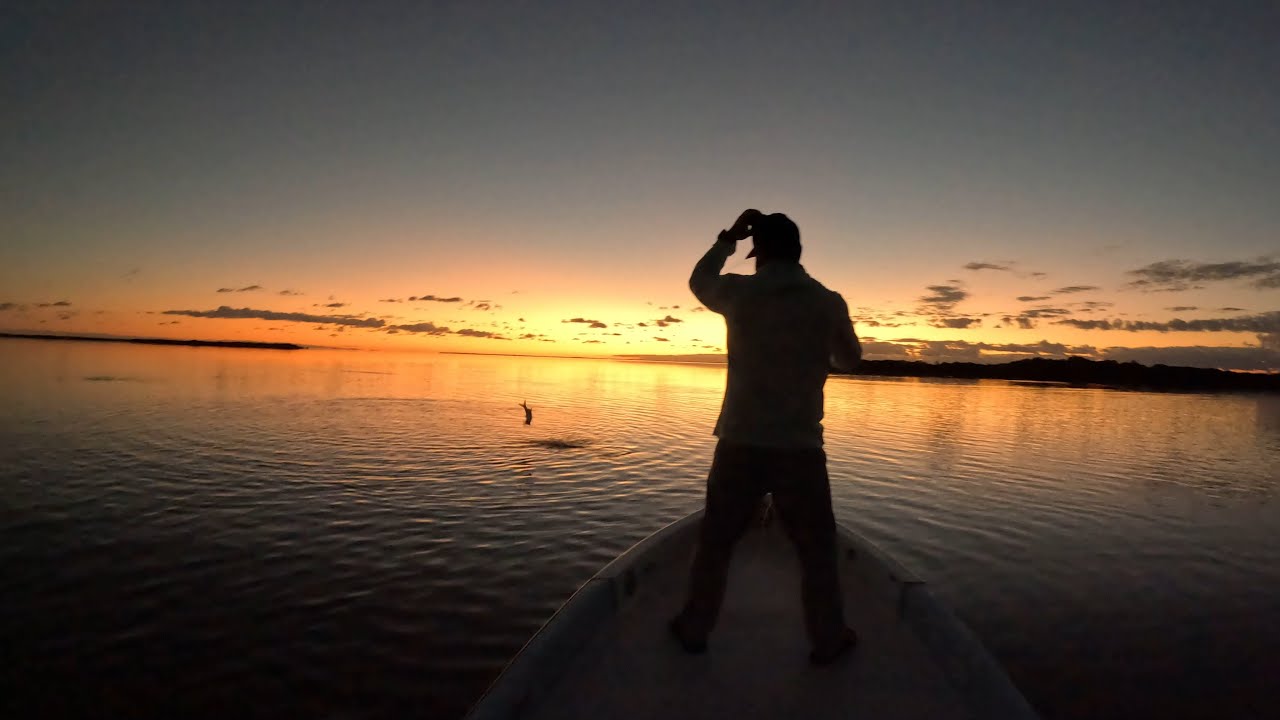 7 am Tarpon! 