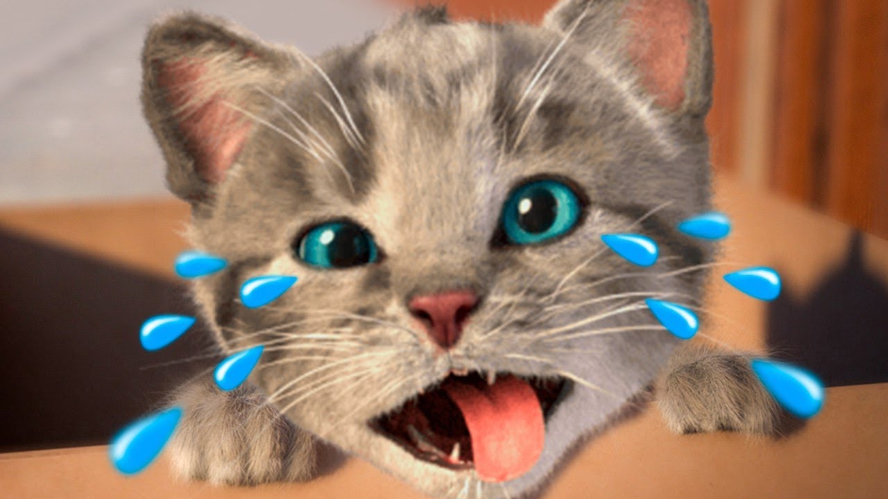 Little Kitten Preschool Adventure Educational Games - Play Fun Cute Kitten Pet Care Gameplay #432