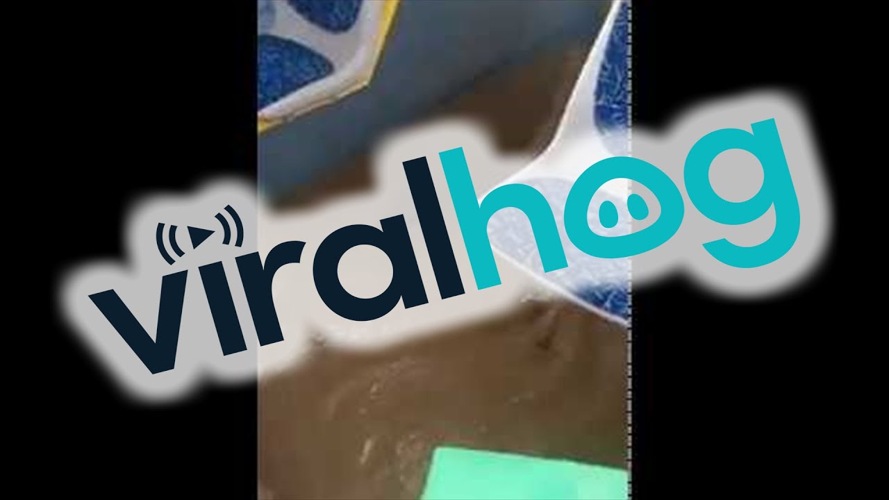 Floor of Bus Becomes Flooded || ViralHog