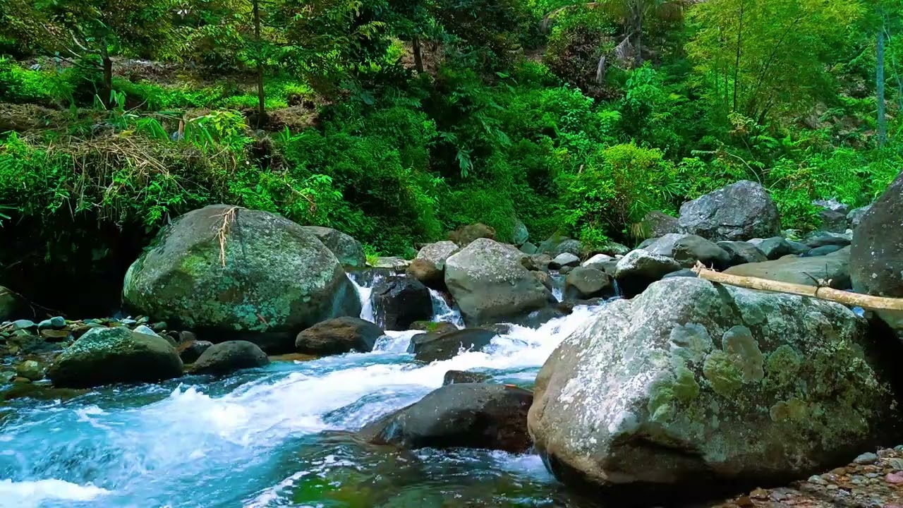 HD Crystal Clear River Tranquil ASMR for Healing Sleep and Emotional Recovery