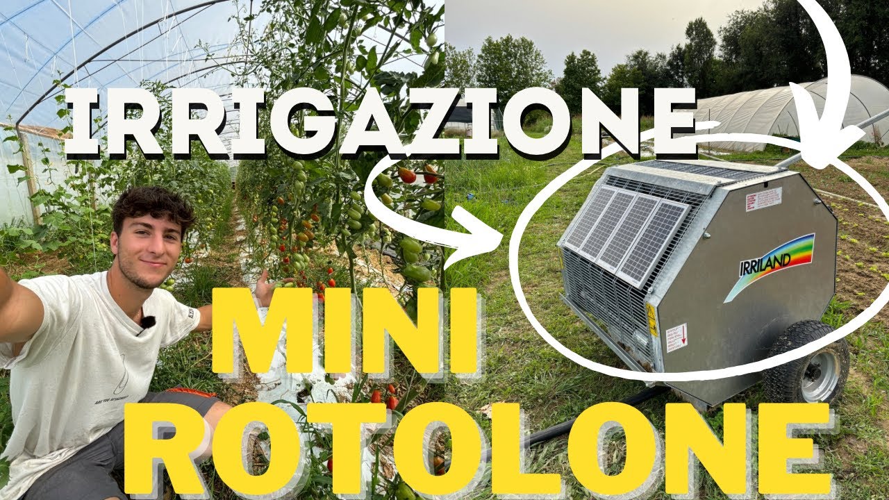 In CAMPO con il MIO NUOVO (mini) ROTOLONE semovente