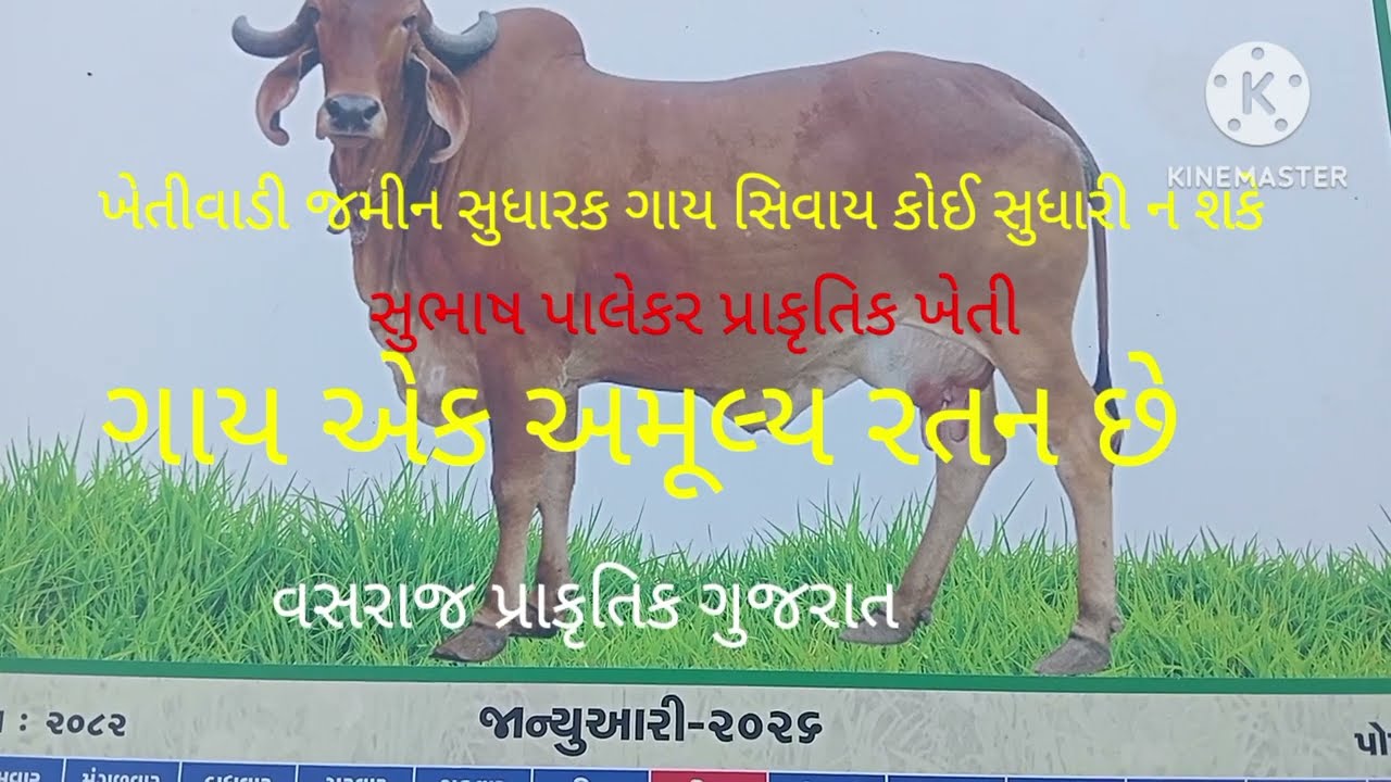 સુભાષ પાલેકર પ્રાકૃતિક ખેતી ગાય આધારિત ખેતી વસરાજ પ્રાકૃતિક ખેતી ગુજરાત