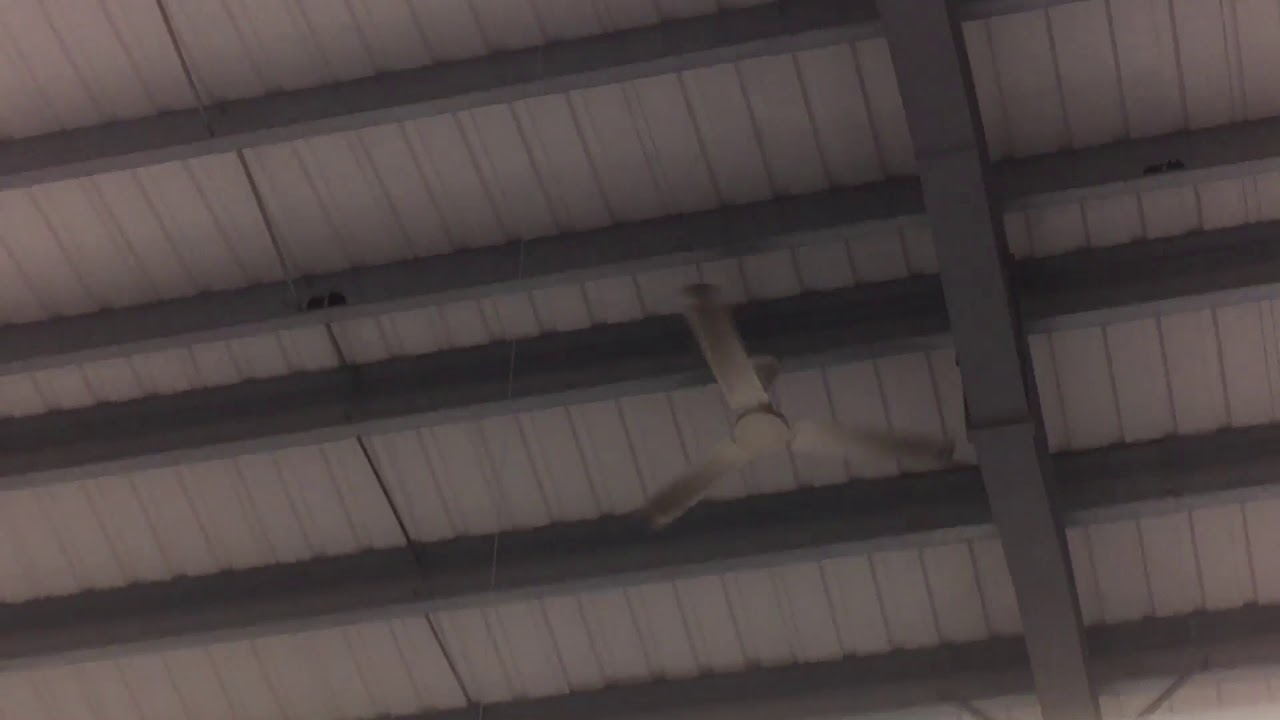 Newer xpelair whispair ceiling fans in B&M, Queensferry
