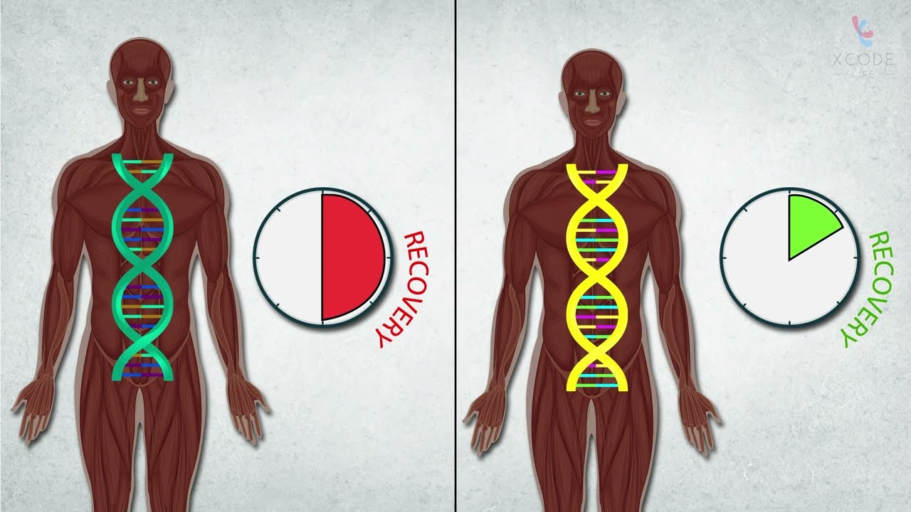 Understanding Exercise Recovery Through Genetics