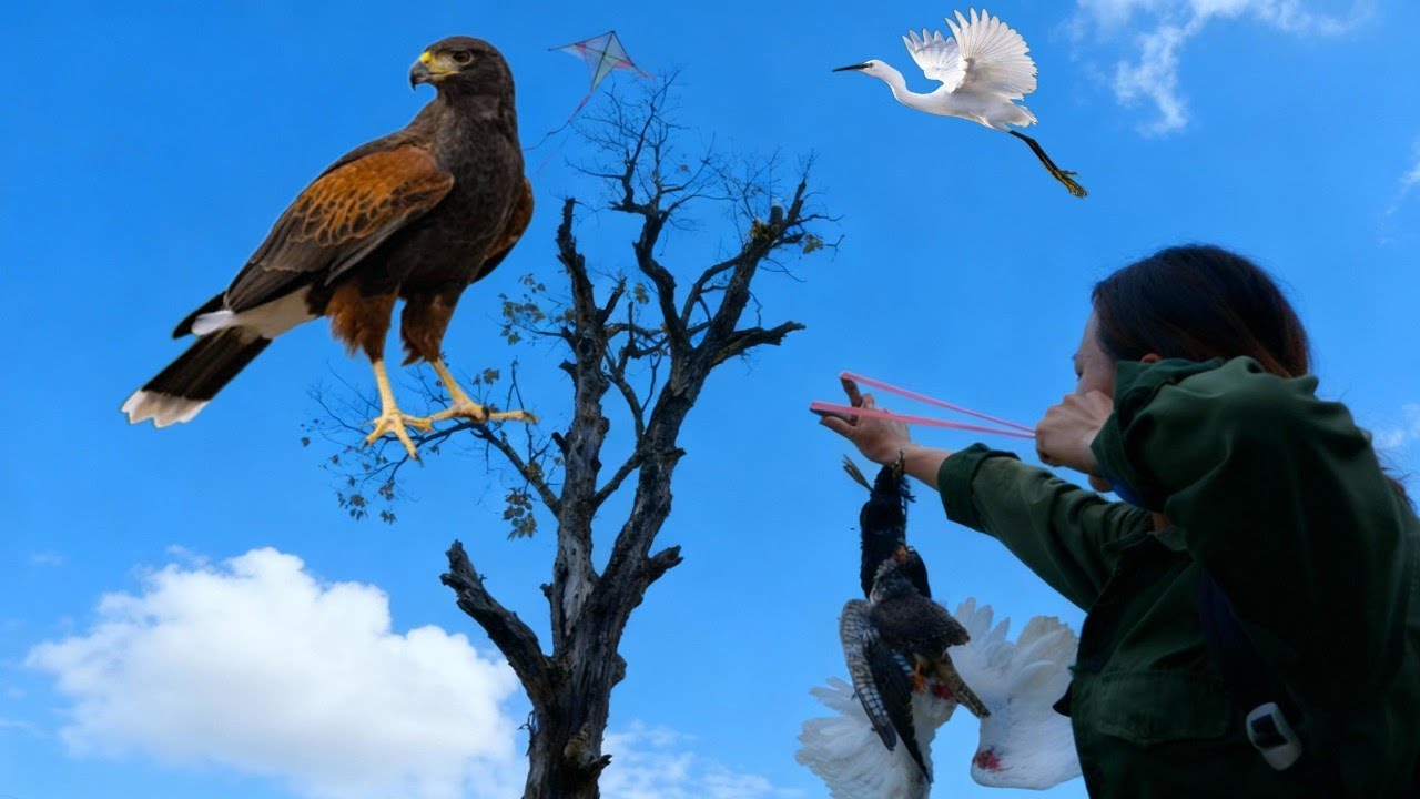 &ldquo;12 Hours Hunting Birds with a Slingshot &ndash; Unexpected Encounter with Ferocious Birds!&rdquo;