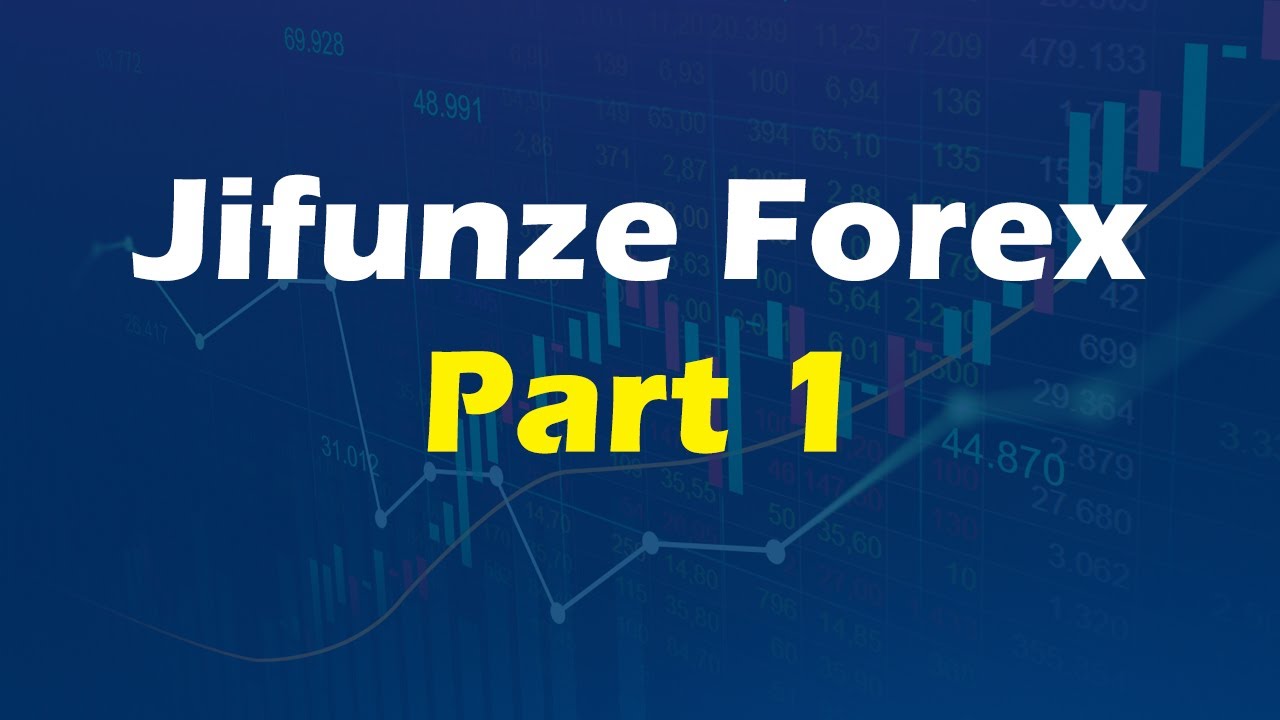 FOREX BASICS (SWAHILI ) PART 1