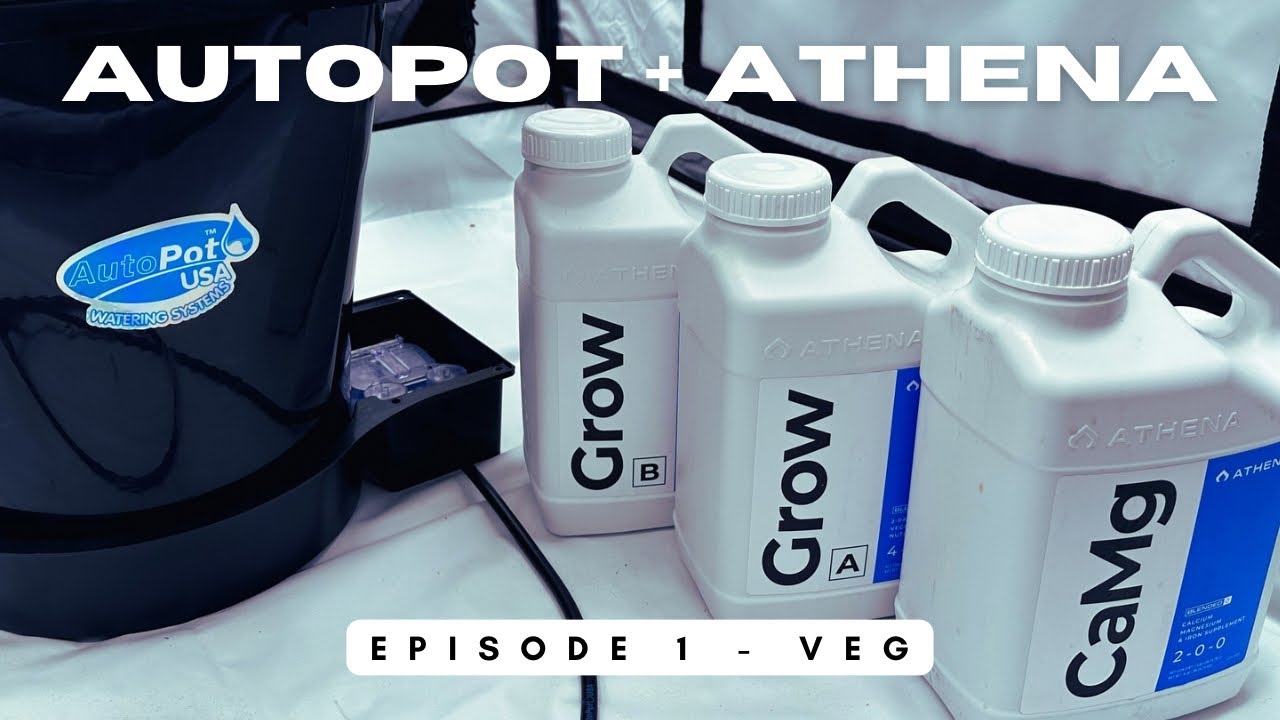AutoPot + Athena Seed to Harvest: Episode 1 - Veg